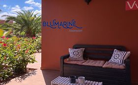 Tamarindo Blumarine - Pool & Wifi Free 4 Persons